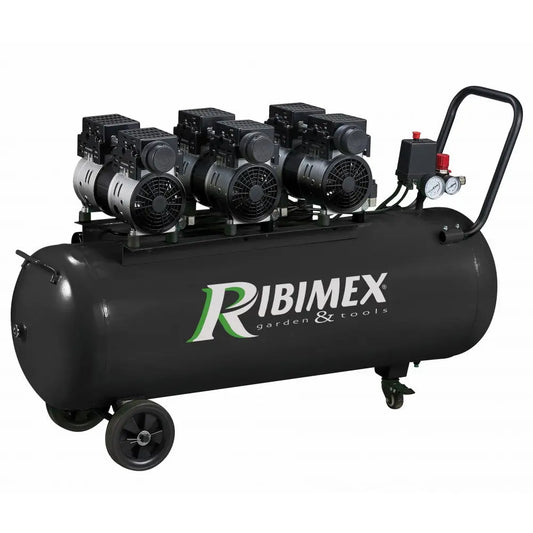 Compresseur ribimex 3CV sur cuve 100 L